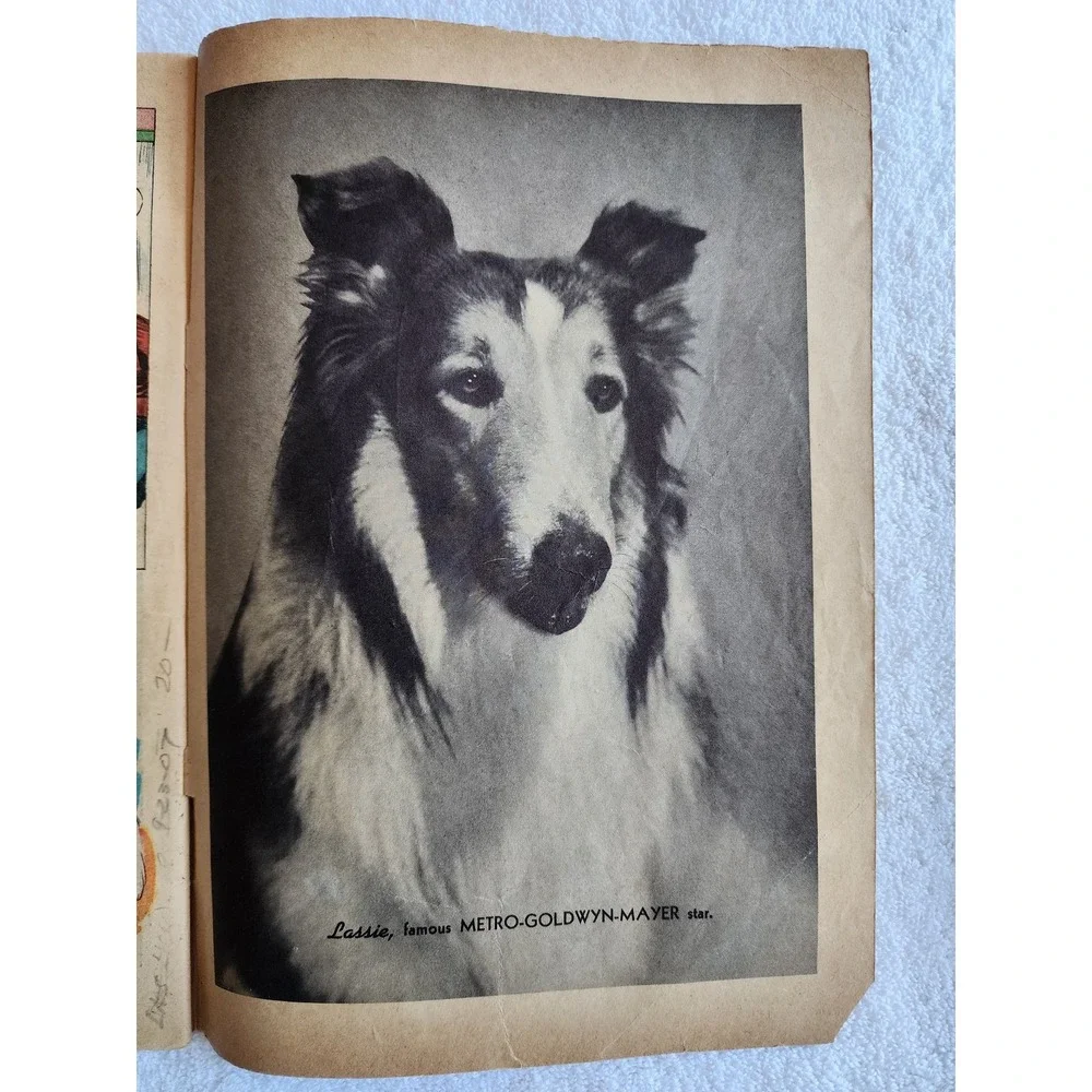 Lassie #1 (1950) - Dell Publishing - MGM Photo Cover